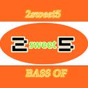 2sweet5 bass of brostep Extended Mix专辑