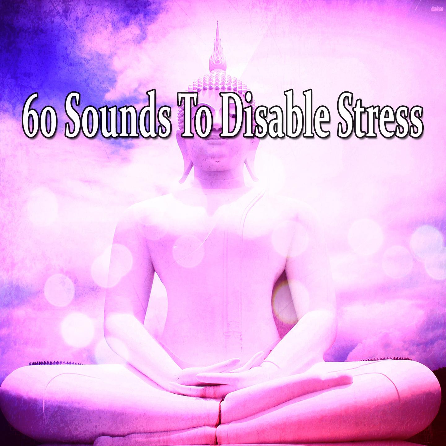 60 Sounds To Disable Stress专辑