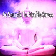 60 Sounds To Disable Stress