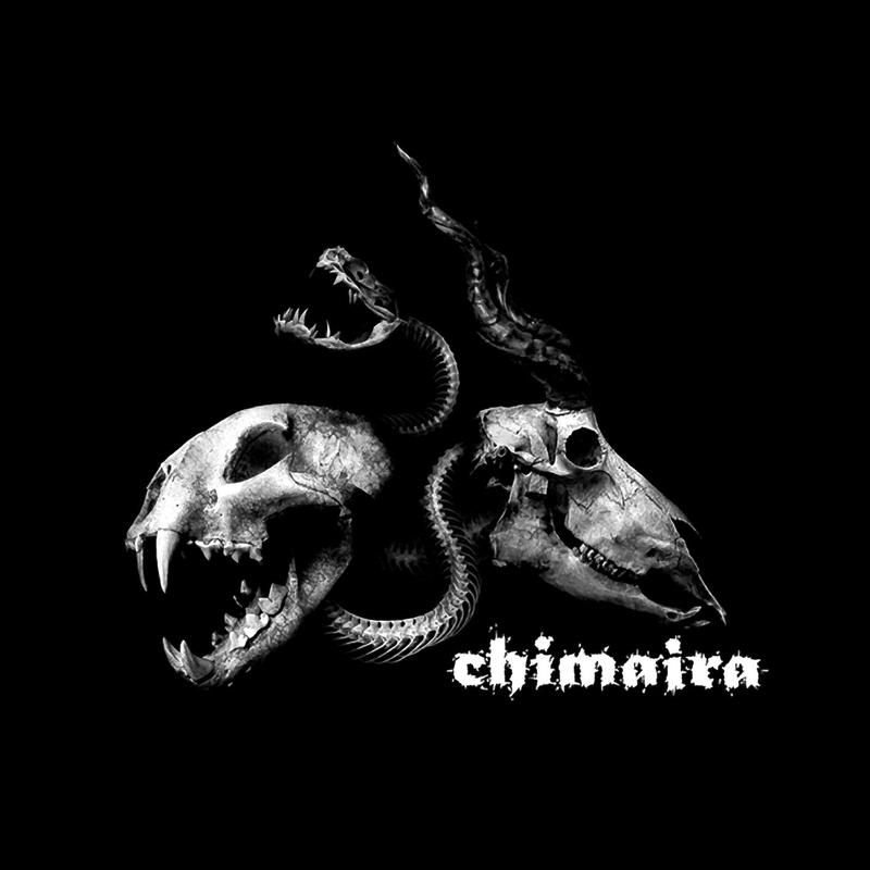 Chimaira - Salvation (Album Version)