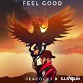 Feel Good (PeacockJ Mashup)