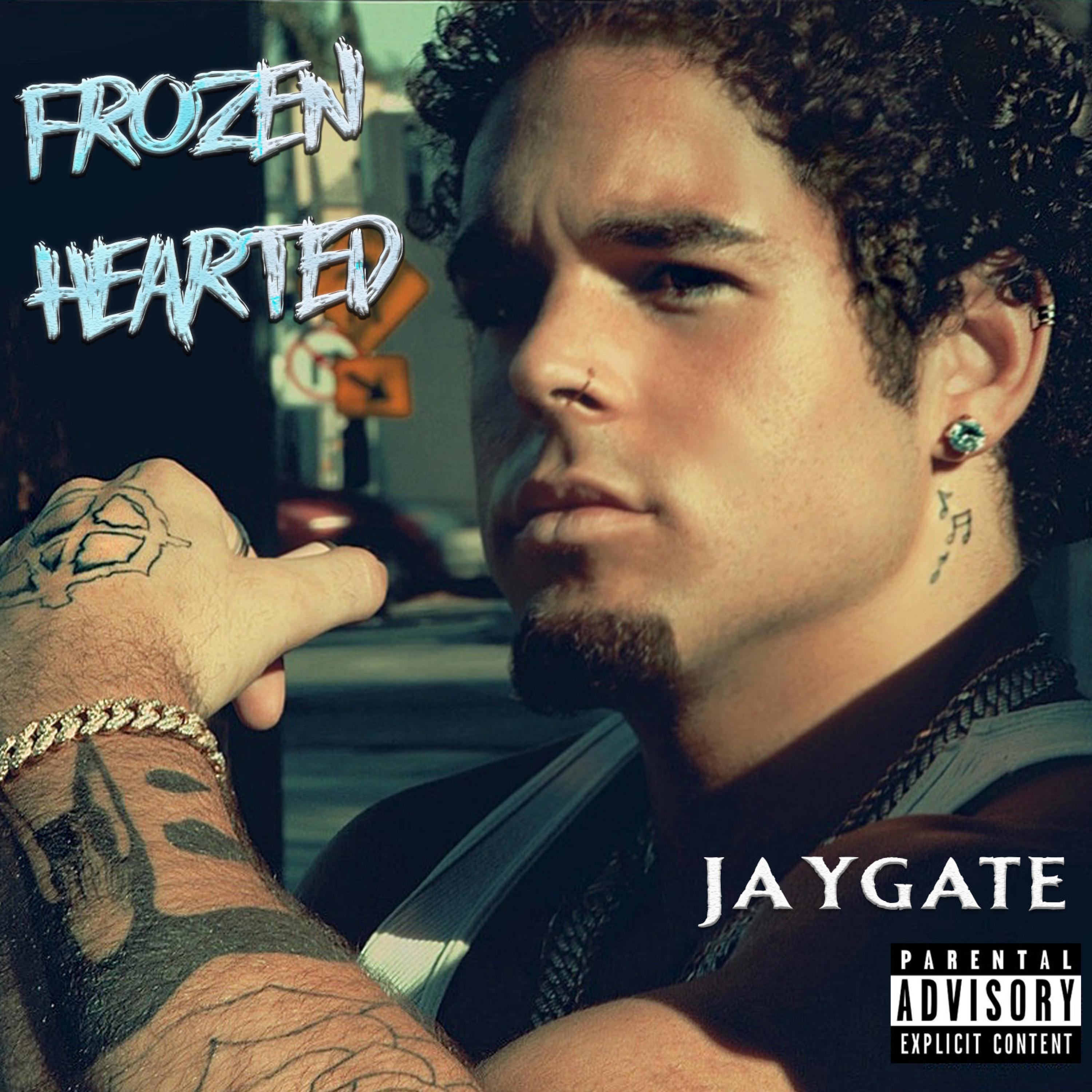 Jaygate - Fakeness