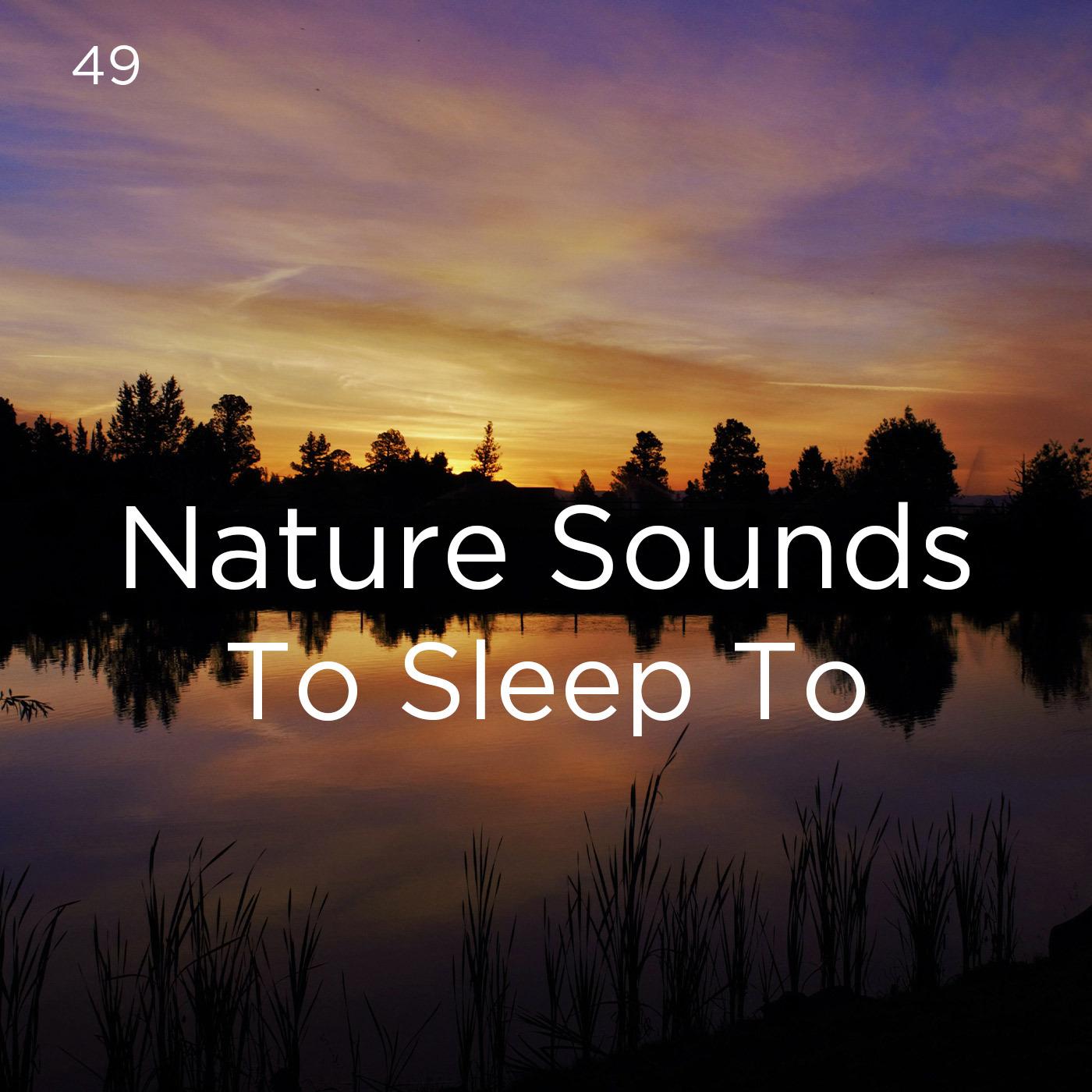 49 Nature Sounds To Sleep To