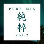 Pure Mix Vol.2专辑