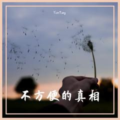 不方便的真相（Cover麦家瑜）