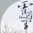 霍将军