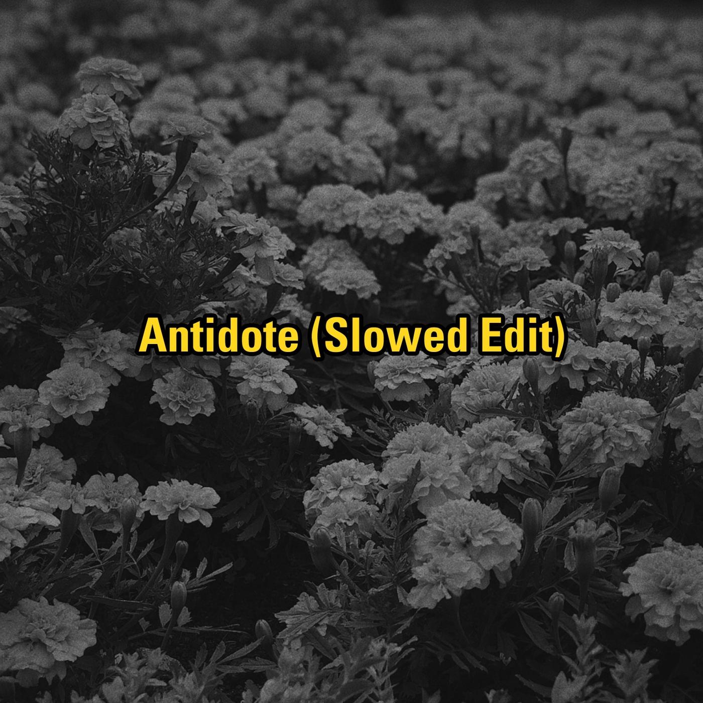 Antidote (Slowed Edit)
