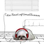 The Best Of Smallroom专辑