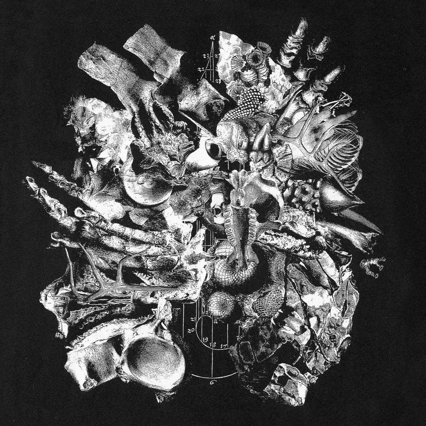 Conducting the Method