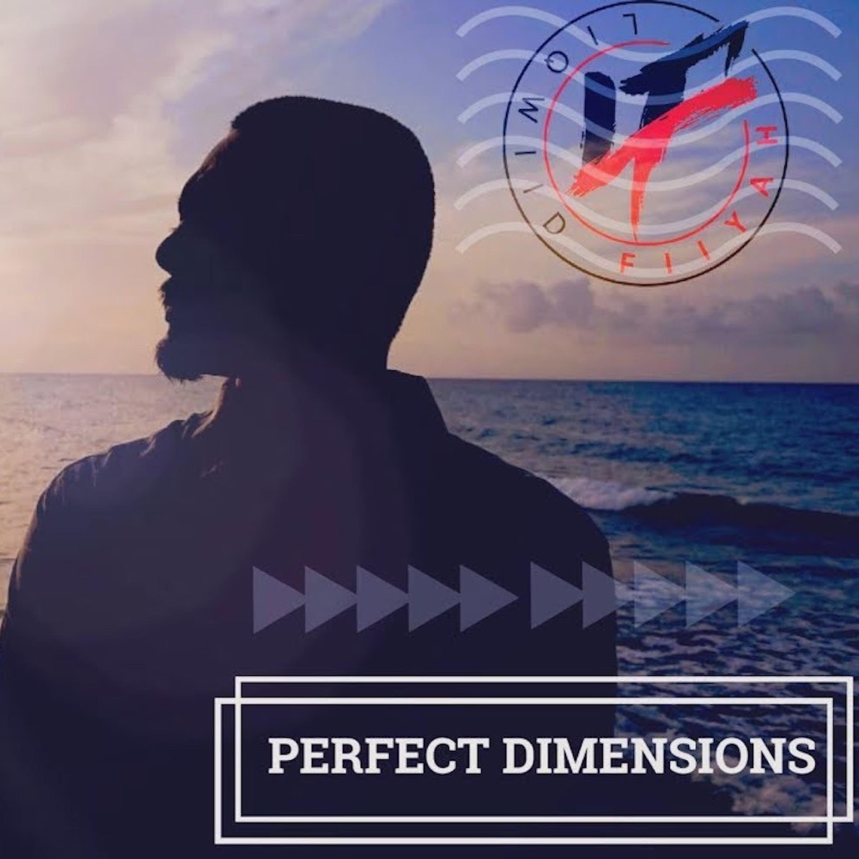 Perfect Dimensions (feat. IRS)