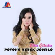 Potong Bebek Jomblo