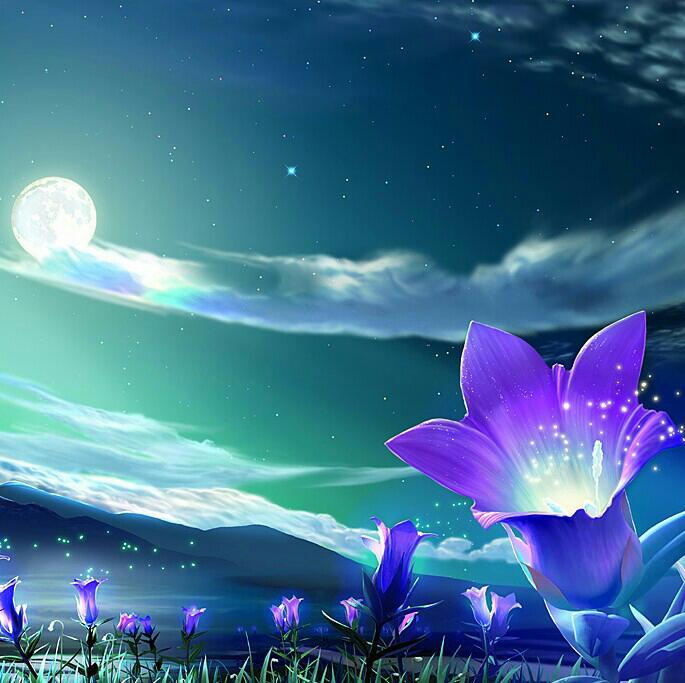 神秘园必听经典曲目珍藏