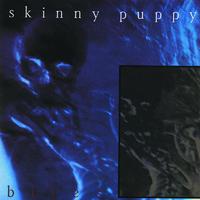 Assimilate - Skinny Puppy (karaoke)