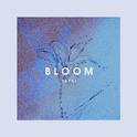 Bloom专辑