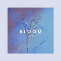 Bloom专辑