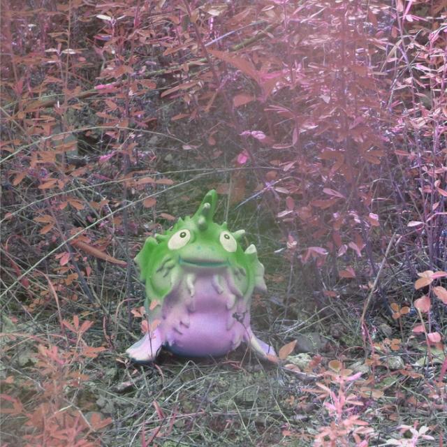 Beagle Death II