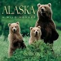 Alaska Wild Wonder专辑
