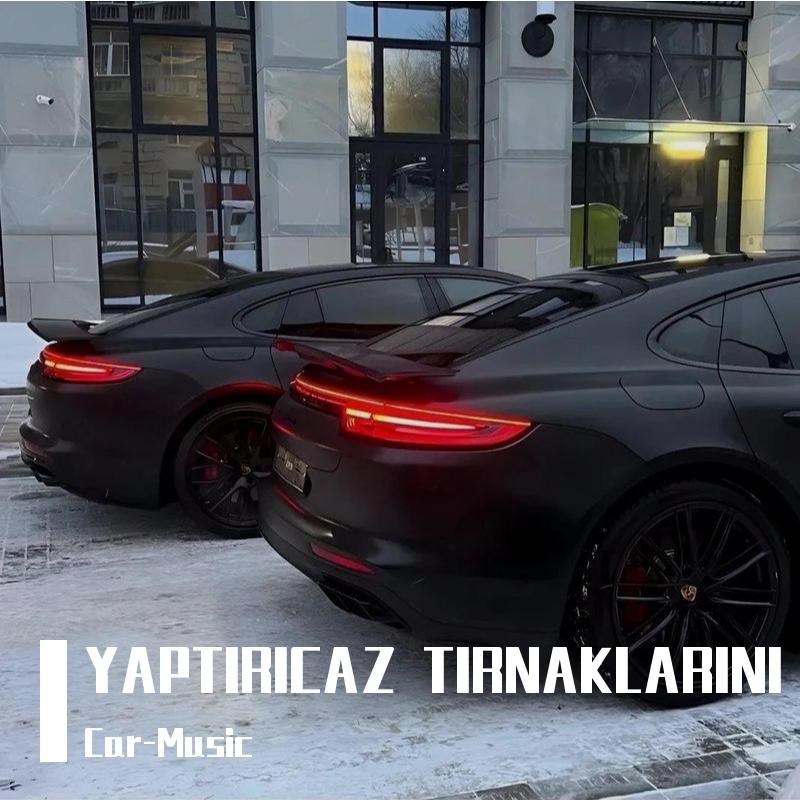 YAPTIRICAZ TIRNAKLARINI