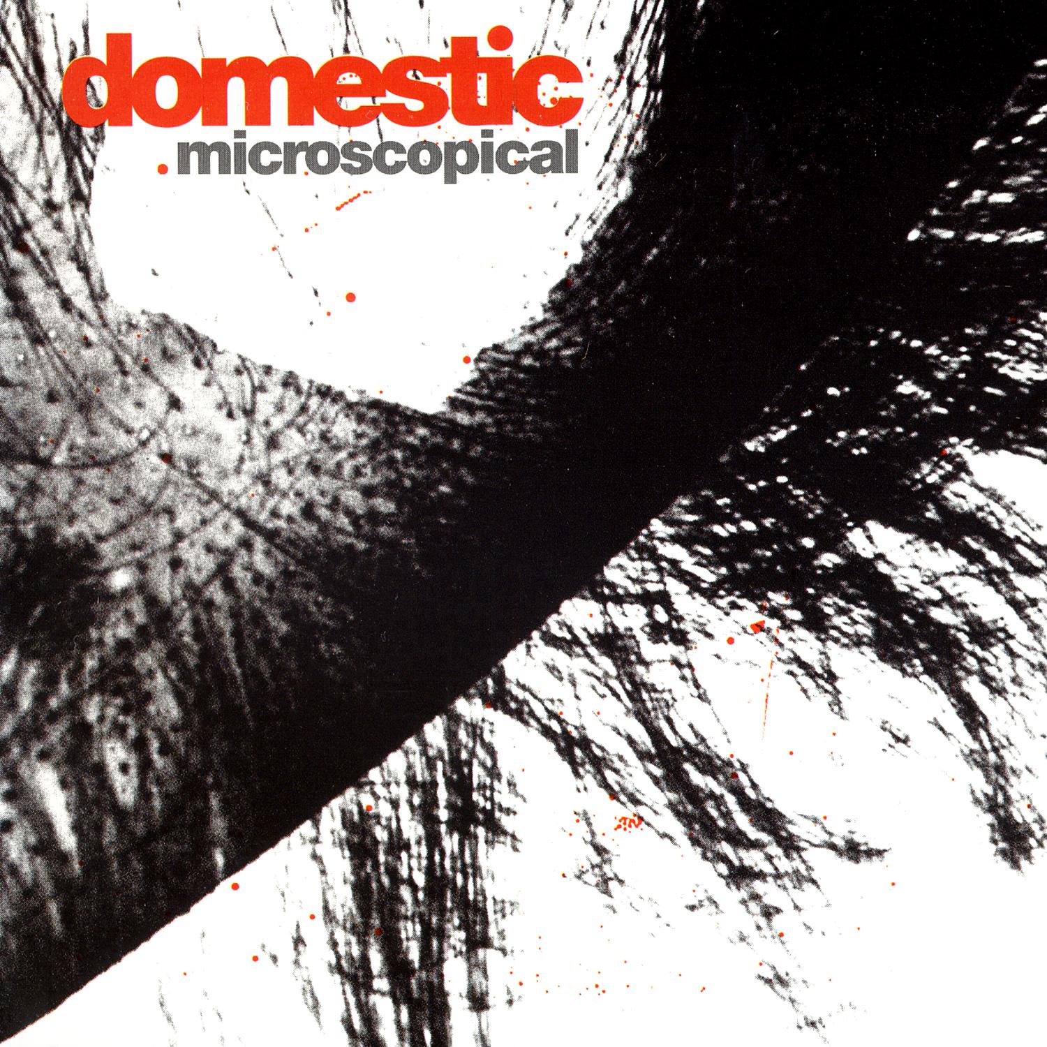 Microscpical