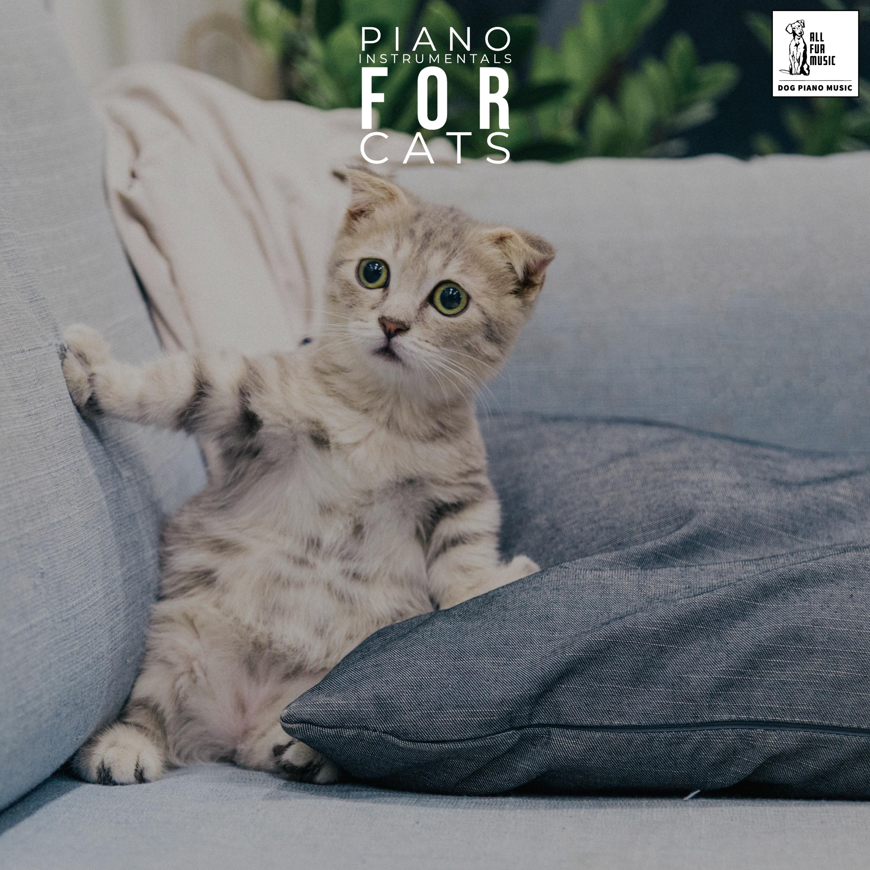 Piano Instrumentals For Cats