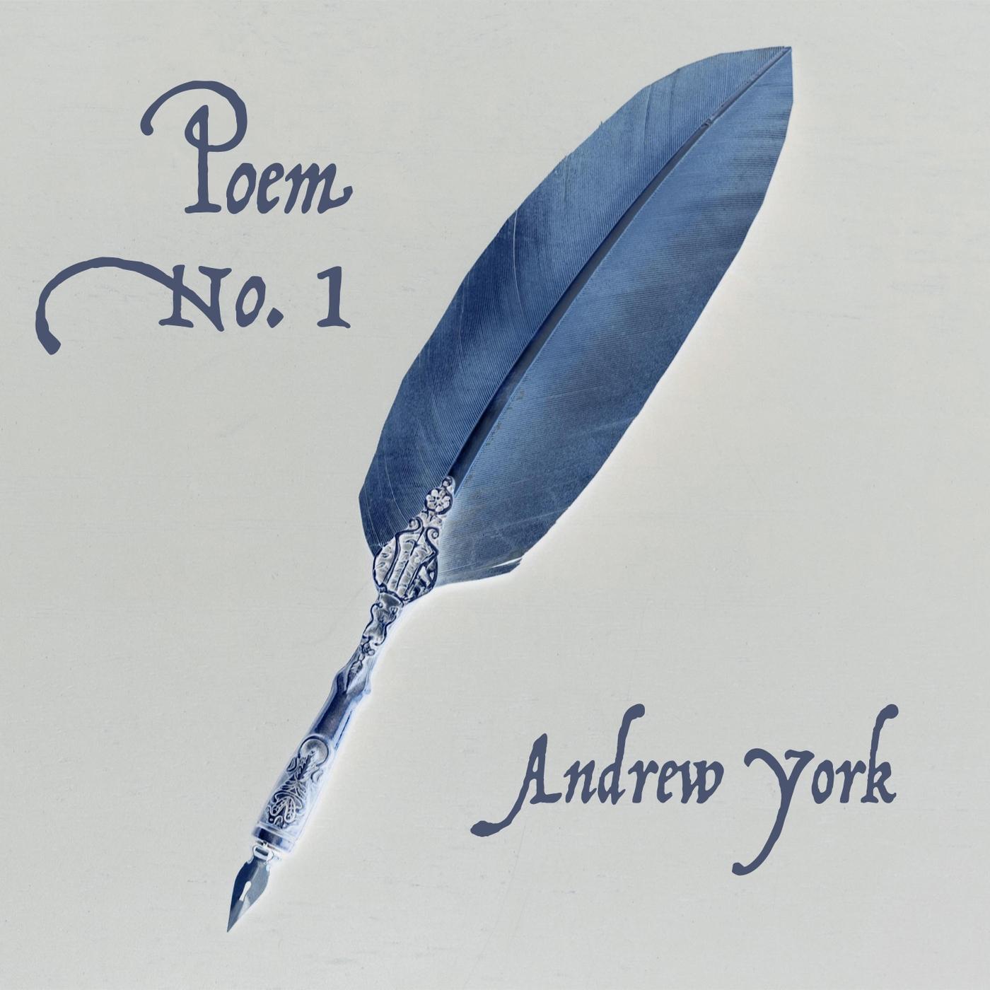Poem No. 1
