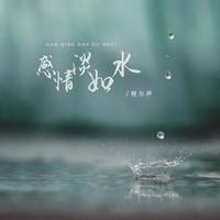 倪尔萍 - 感情淡如水 (伴奏)