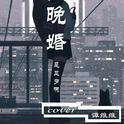 晚婚（cover谭维维 江蕙）专辑