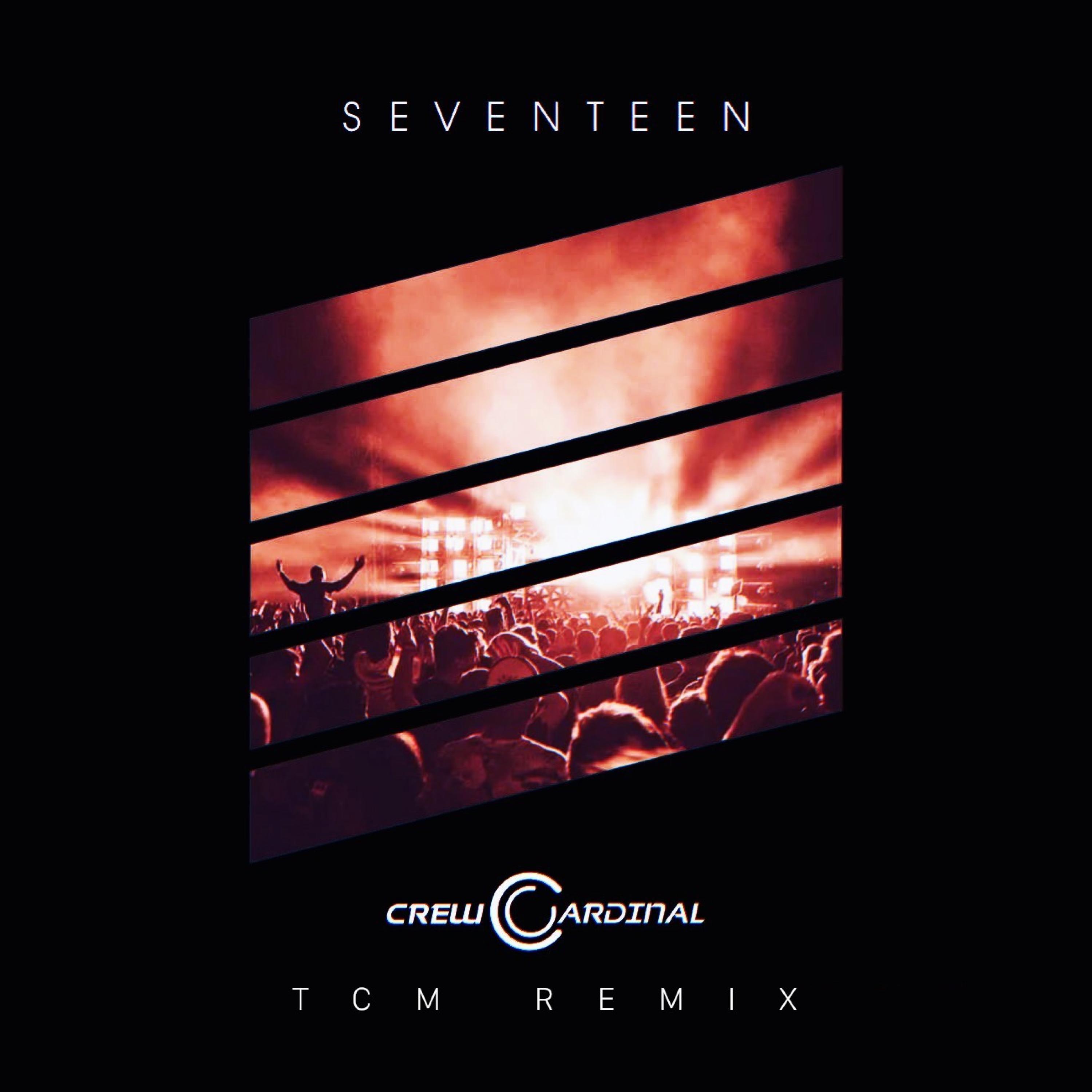 Seventeen (TCM Remix)