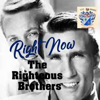 Righteous Brothers-You'Ve Lost That Lovin'Feeling 伴奏 无人声 伴奏 更新AI版