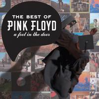 The Fletcher Memorial Home - Pink Floyd (Karaoke Version) 带和声伴奏