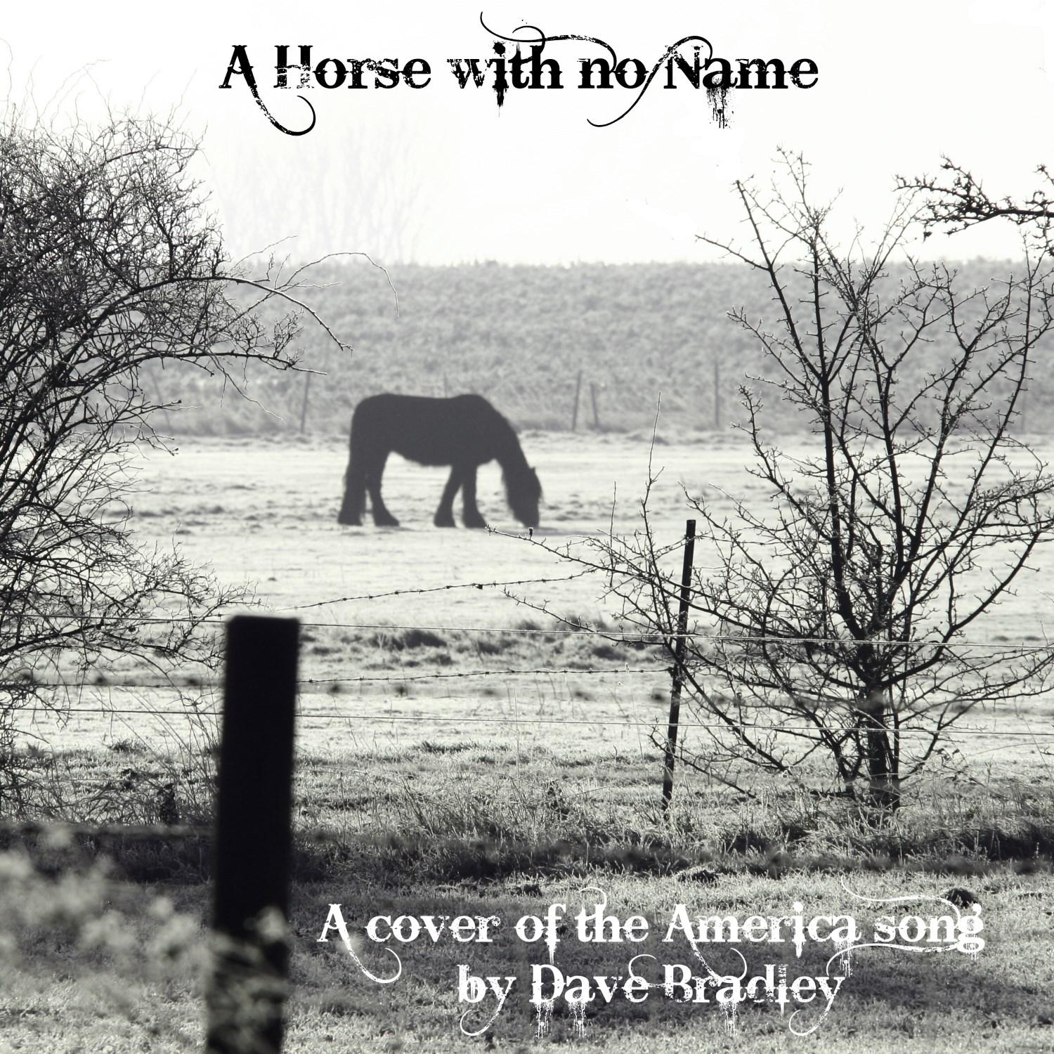 A Horse with no Name
