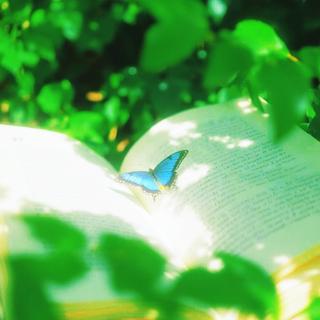 《春日限定》：万物复苏 春和景明 绿意新生