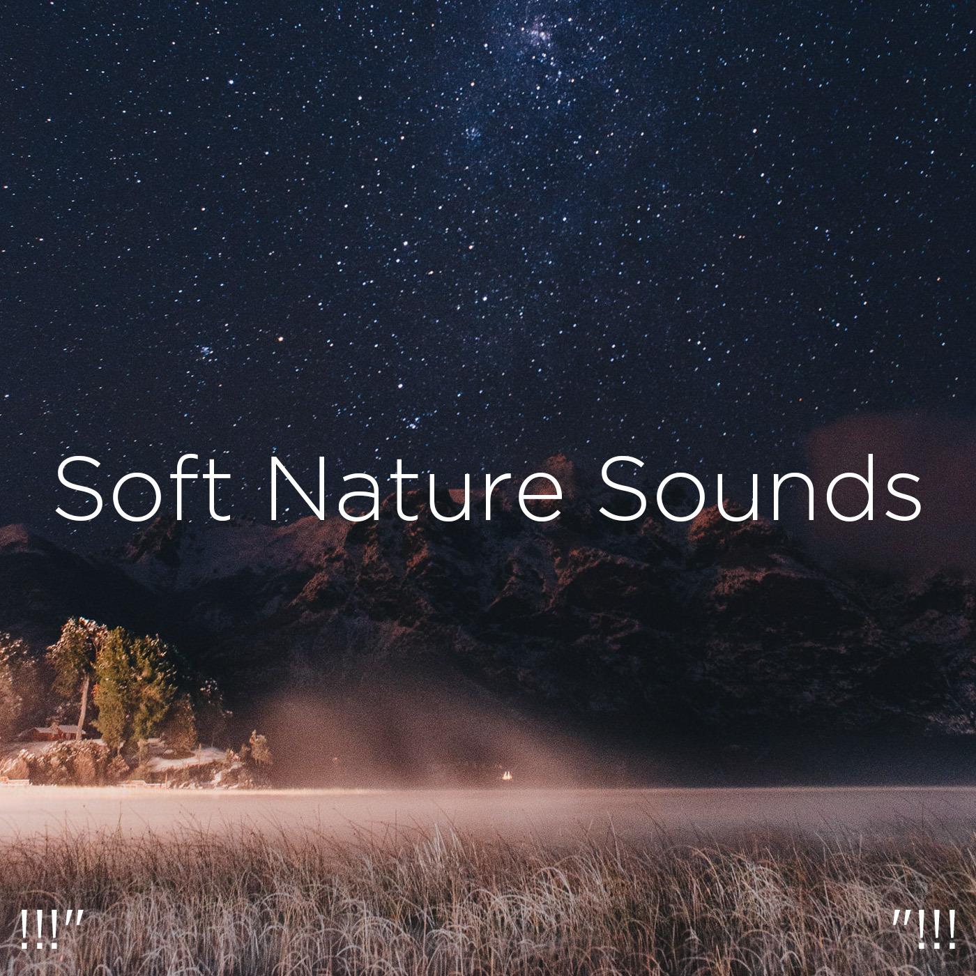 !!!" Soft Nature Sounds "!!!