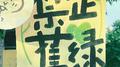 禁止蕉绿 | 快乐小调 美好心情催化剂~