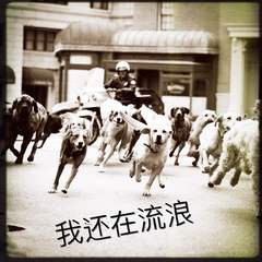 新学校废物合唱团《我还在流浪吉他谱》A调_节奏优美迷人