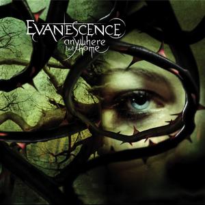 Evanescence - Taking Over Me （升8半音）