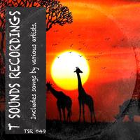 Diego Romero - In Control (Original Mix) (Noisemusic Records Ve)