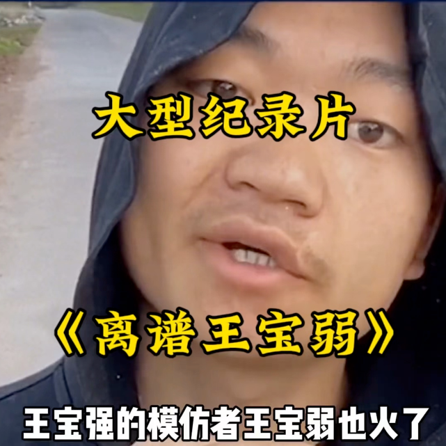 大型纪录片《离谱王宝弱》