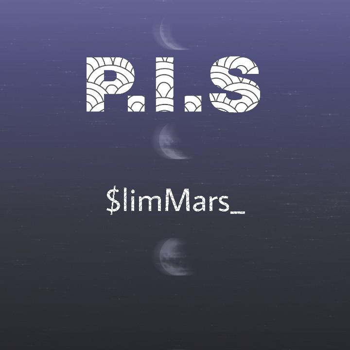 P.I.S_$M专辑