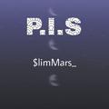 P.I.S_$M