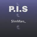 P.I.S_$M专辑