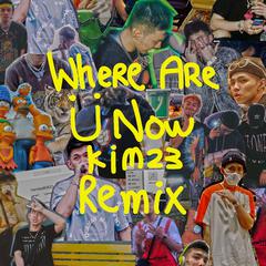 Where are Ü now remix