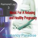 Pregnancy Paradise 3专辑