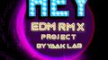 HEY... (EDM RMX Project by Yaak Lab) - Single专辑