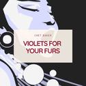 Violets for Your Furs专辑