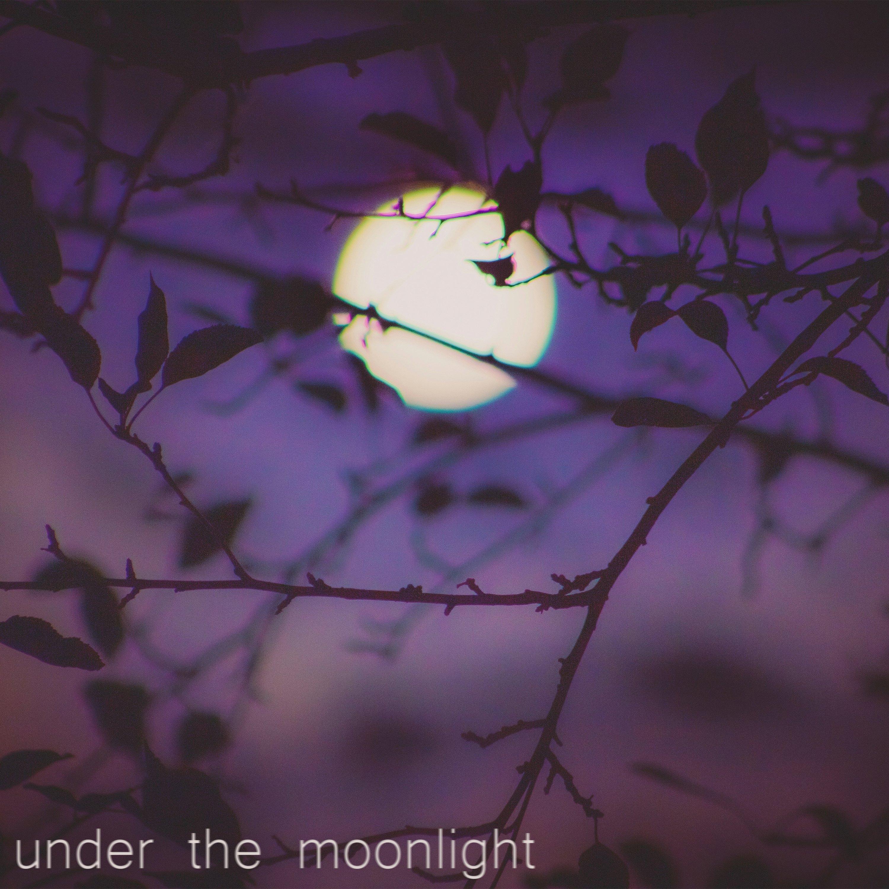 Under the Moonlight专辑