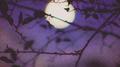 Under the Moonlight专辑
