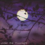 Under the Moonlight专辑