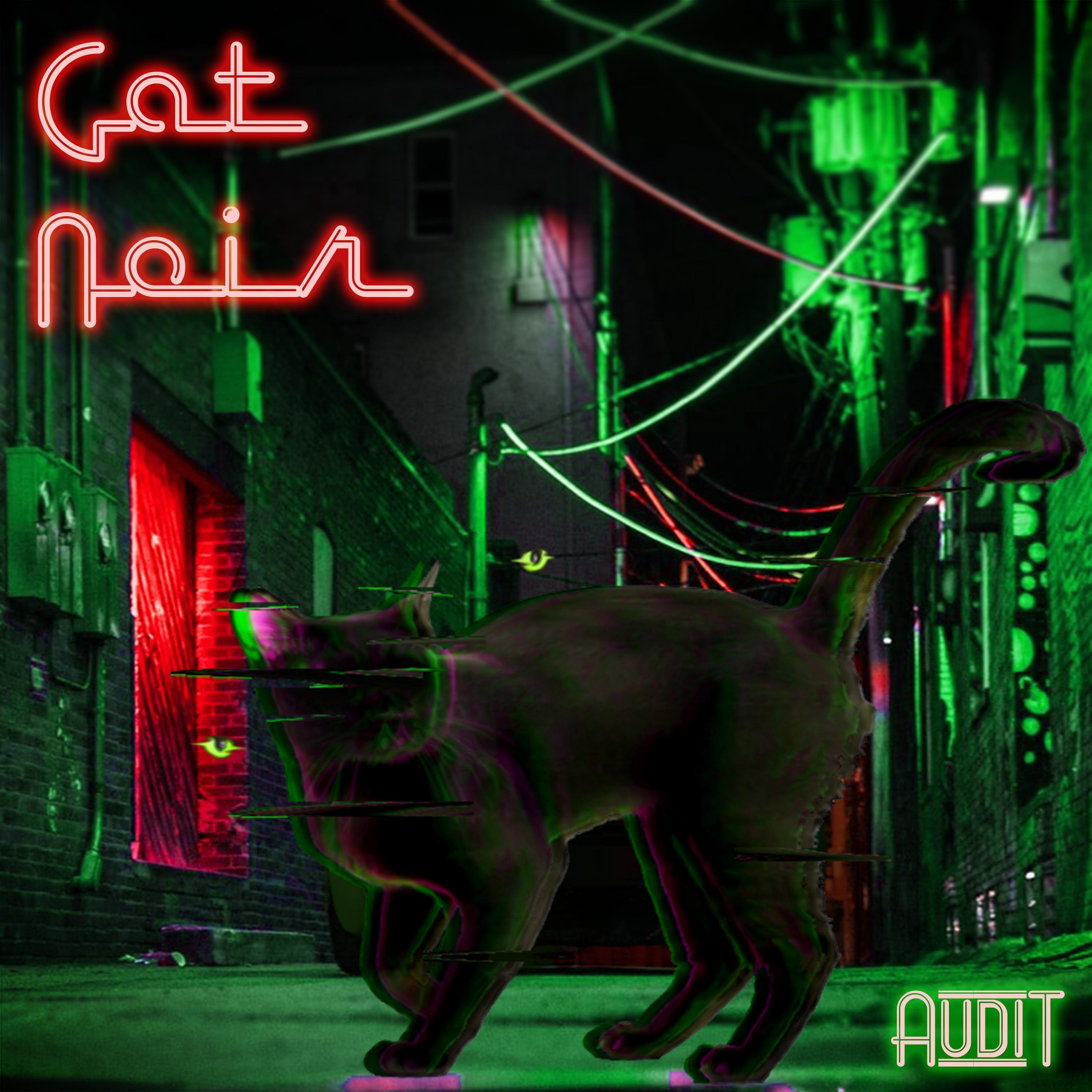 Cat Noir