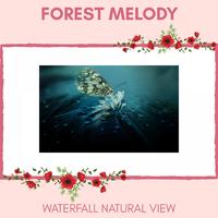 Forest Melody - Waterfall Natural View